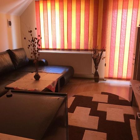 Steluta Villa Calimanesti Luaran gambar