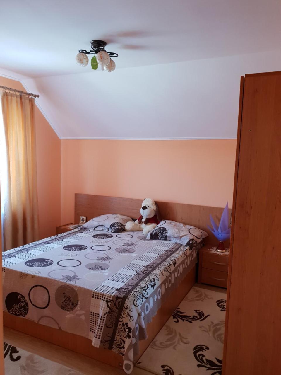 Steluta Villa Calimanesti Bilik gambar